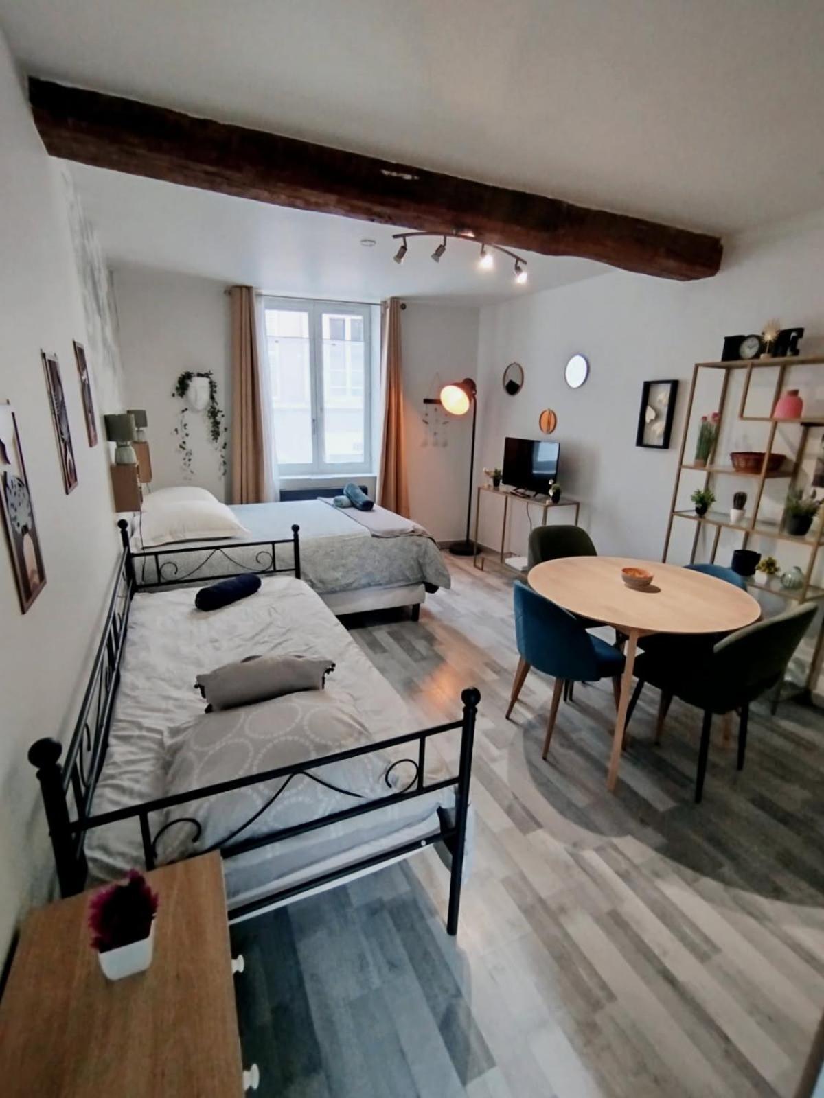 Sleep'in Centre-studio Confortable Et Cosy Apartment *